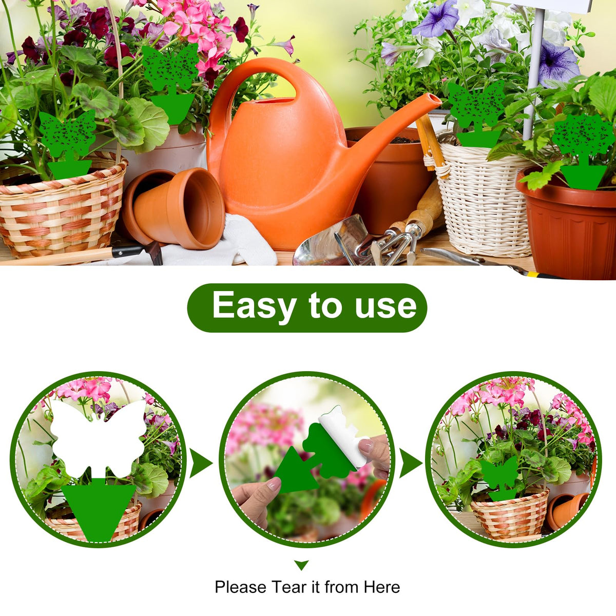 Boromine fruit fly trap inserted into soil protecting indoor plants.