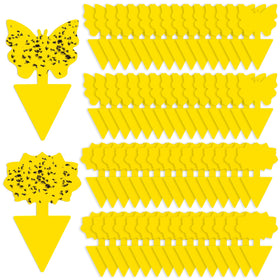 Boromine fruit fly trap yellow sticky sheet close-up for indoor pest control