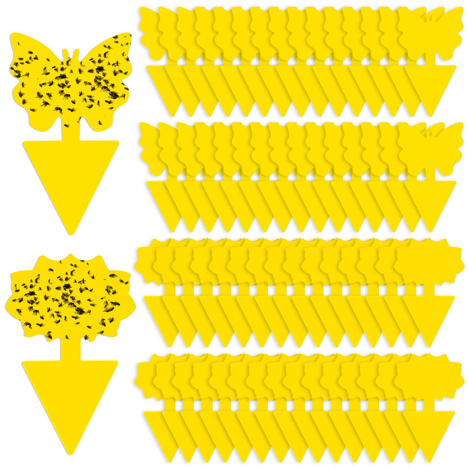 Boromine fruit fly trap yellow sticky sheet close-up for indoor pest control