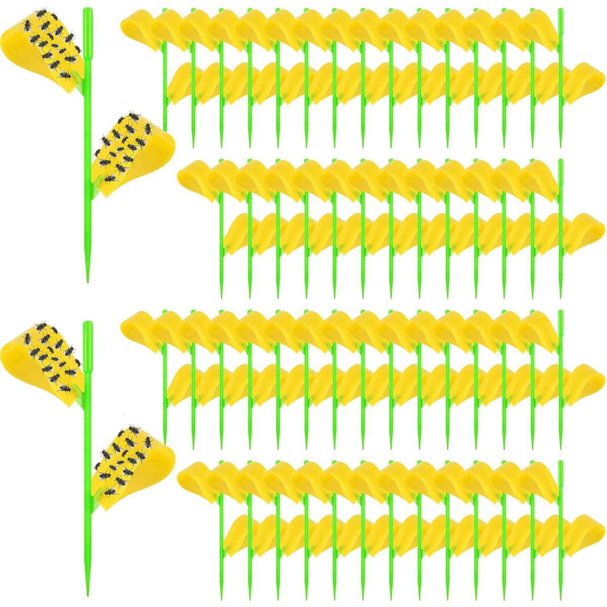 Boromine fruit fly traps: yellow sticky sheets for indoor plant protection.