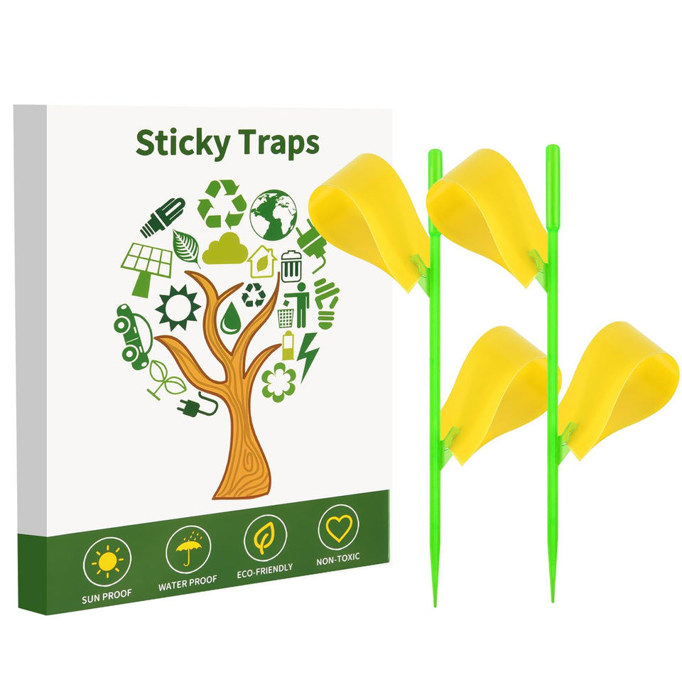 Boromine fruit fly traps with yellow sticky surfaces for pest control