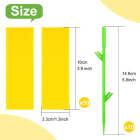 Yellow sticky traps catch fungus gnats effectively in greenhouses and gardens.