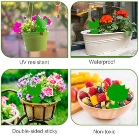 Boromine traps suitable for both indoor and outdoor pest control in gardens