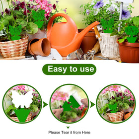 Boromine plant fly stickers designed for greenhouse use to defend roots from pests