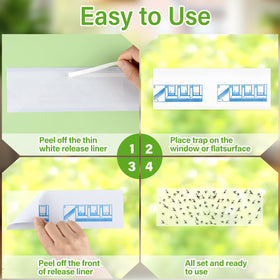 Boromine trap on window demonstrates easy, mess-free pest control.