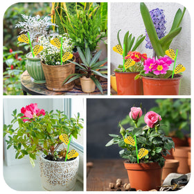 Ideal for greenhouses, orchards, and backyard gardens.