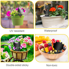 Boromine UV resistant sticky traps work well in sun and moisture