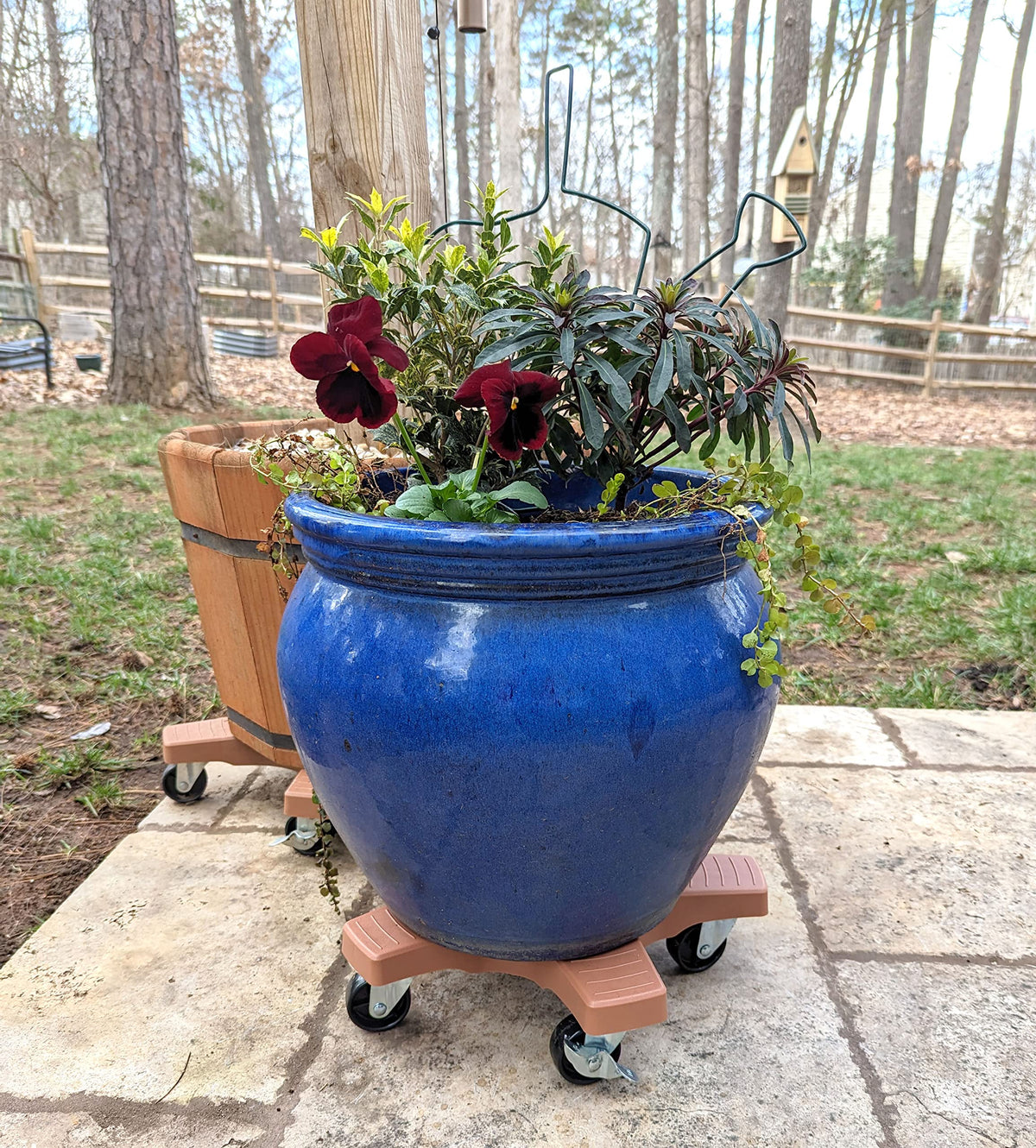 Using the caddie indoors on carpet to move a heavy pot