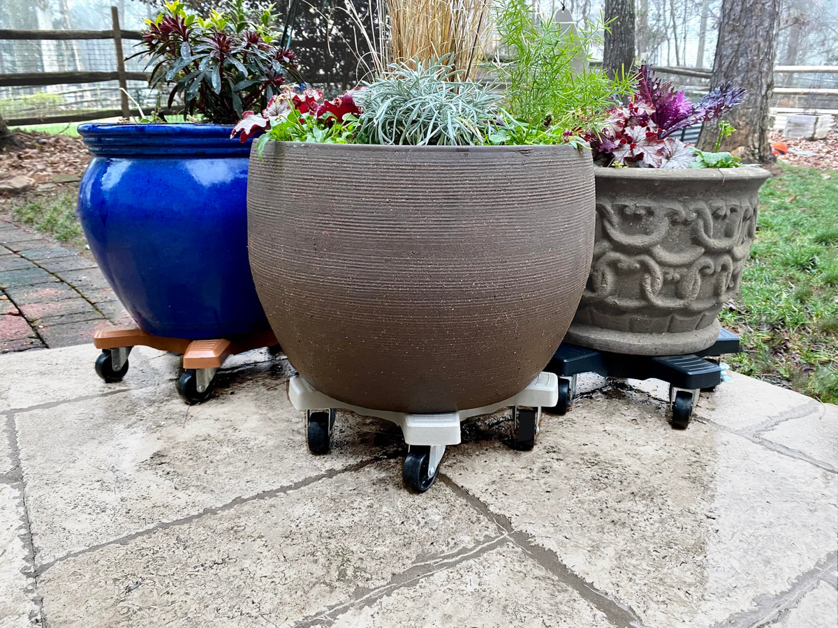Bosmere Down Under Plant Caddie used indoors and outdoors