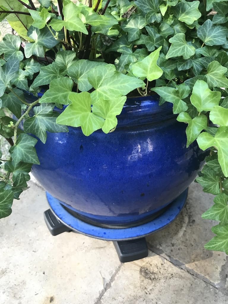 Bosmere Down Under Plant Caddie locking caster in action for stability