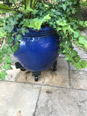 Bosmere Down Under Plant Caddie rolled with a large pot for smooth transport