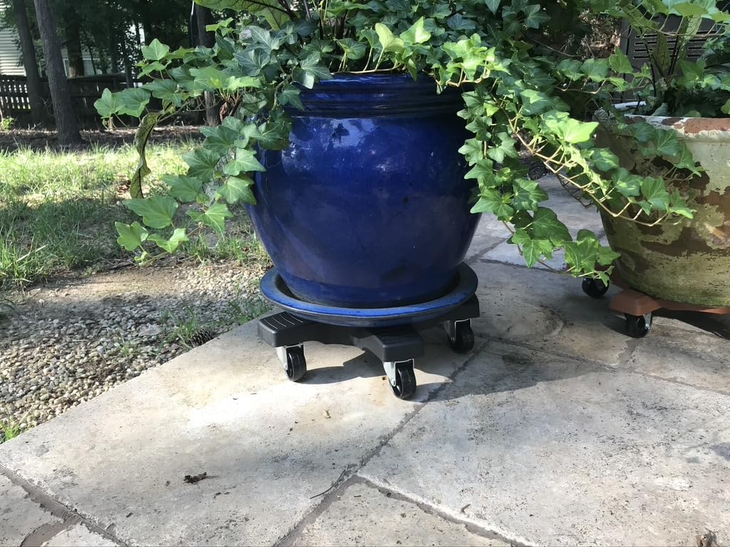 Bosmere Down Under Plant Caddie rustproof construction withstands outdoor conditions.