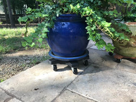 Bosmere Down Under Plant Caddie rustproof construction withstands outdoor conditions.
