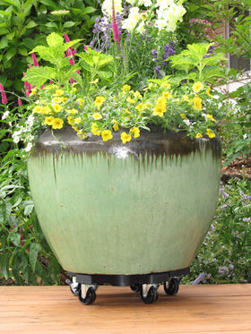UV resistant plastic Bosmere Down Under Plant Caddie