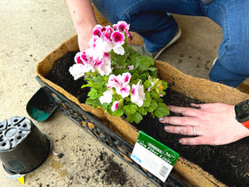 Bosmere F919 Soil Moist layer adds moisture retention for plants