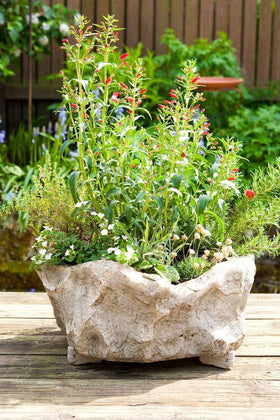 Bosmere Pot Toes lift pots for better airflow and drainage.