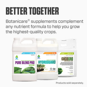 Hydroponic system with Cal-Mag Plus supplementation for steady growth.
