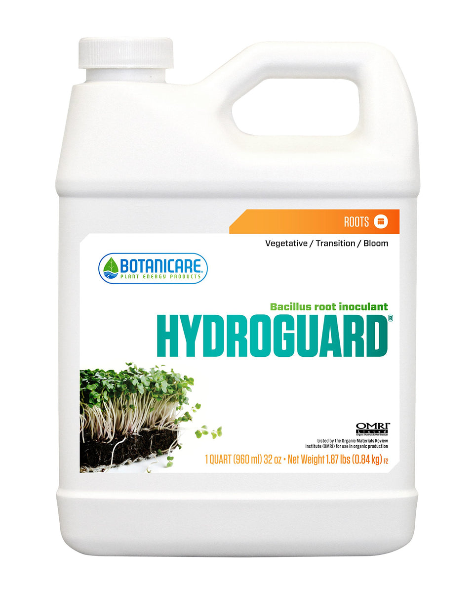 Botanicare Hydroguard bottle with Bacillus inoculant promotes stronger root mass