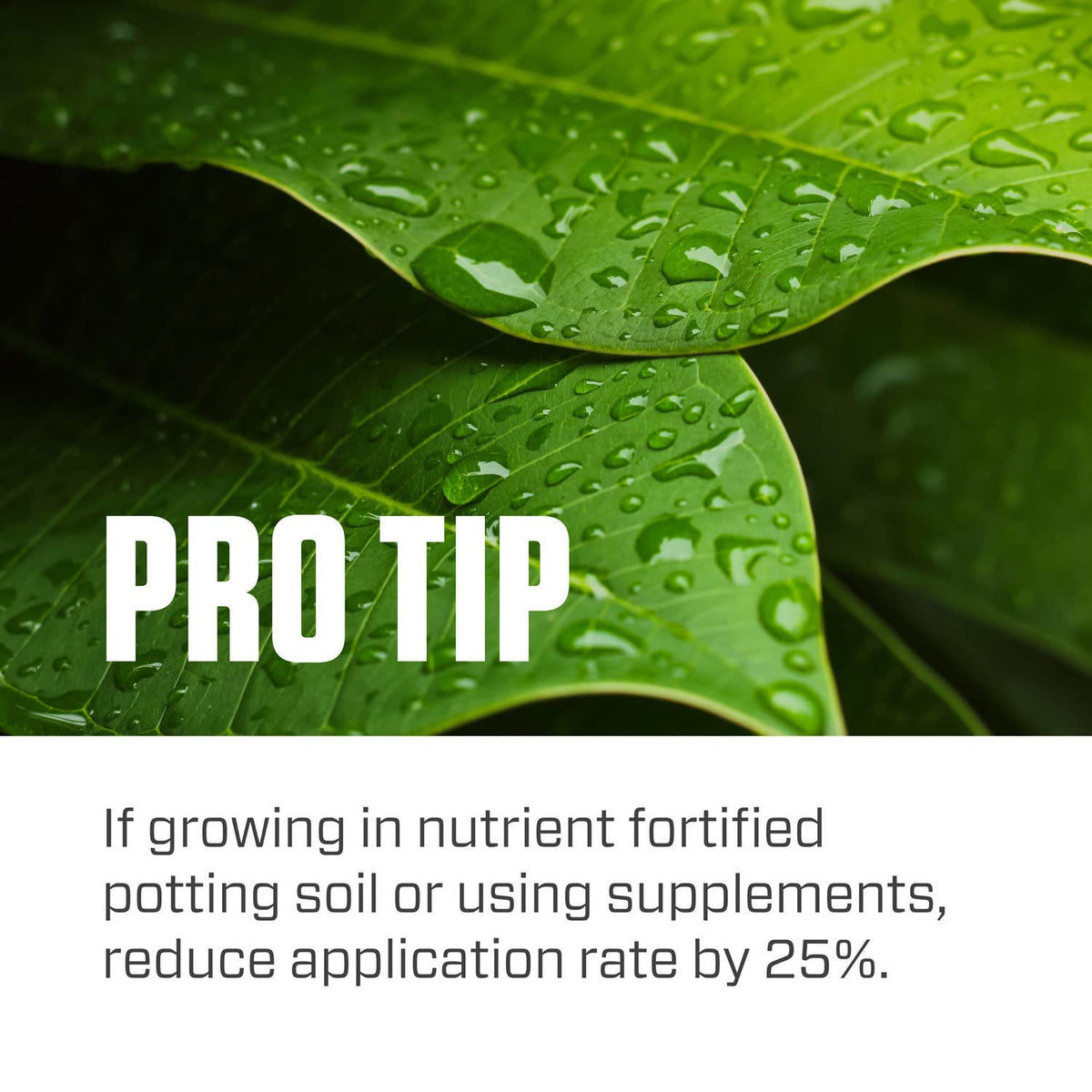 Botanicare Pure Blend Pro Grow feeding healthy houseplants.