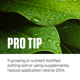 Botanicare Pure Blend Pro Grow feeding healthy houseplants.