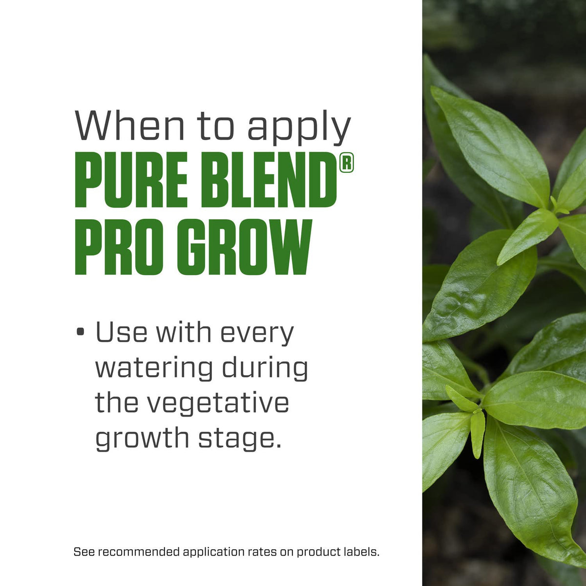 Botanicare Pure Blend Pro Grow applied to soil and coco mix.
