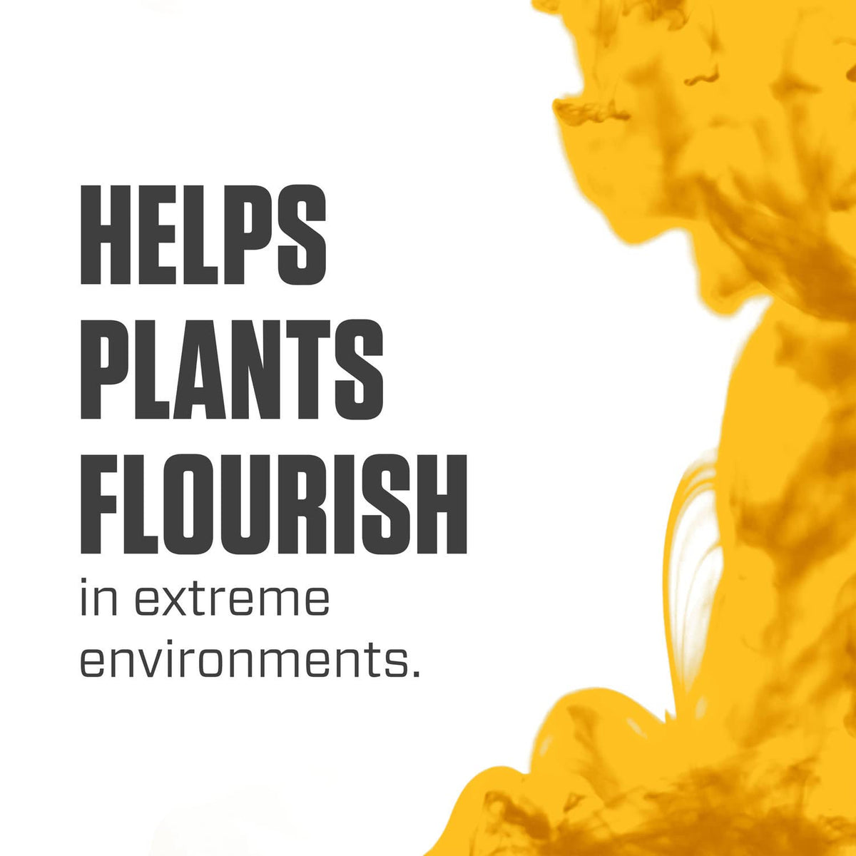 Botanicare Silica Blast bottle pour demonstrates easy dosing during vegetative growth.