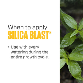 Botanicare Silica Blast dilution step image suggests safe mixing with water.