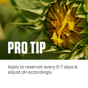 Botanicare Silica Blast in a hydroponic reservoir underscores compatibility with soilless systems.