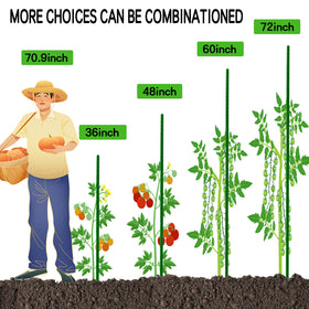 BOTINDO garden stakes support tomatoes and vines for versatile planting.