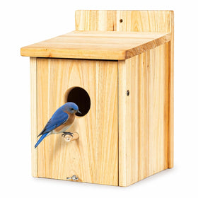 BoughPeace wooden bird house bluebird-nest-box on a branch for backyard nesting
