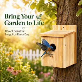 BoughPeace easy-clean-door wooden bird house for simple maintenance
