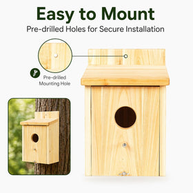 BoughPeace wooden bird house garden-viewing-box ideal for observing birds