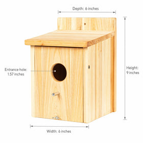 BoughPeace wooden bird house wren-nest-box offers compact nesting space