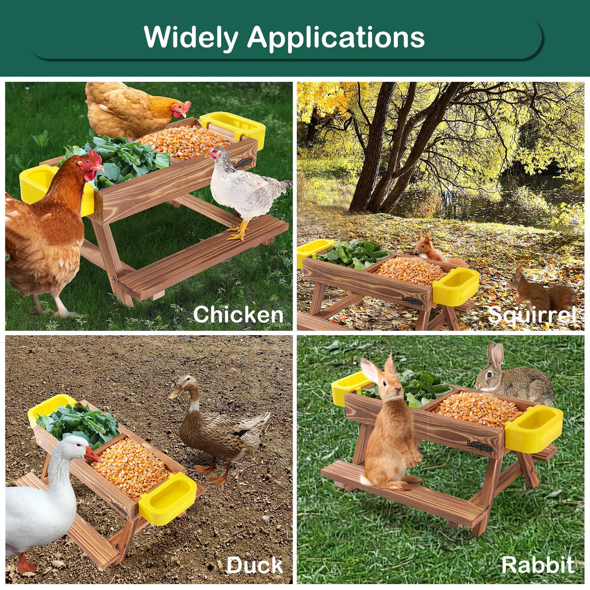 Boulphia-poultry-accessory-gift is a thoughtful coop upgrade for chicken-owners.