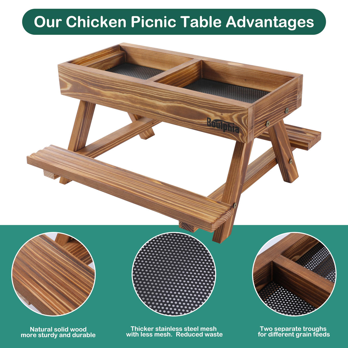 Boulphia-two-waterers-included supports constant water access for active birds.