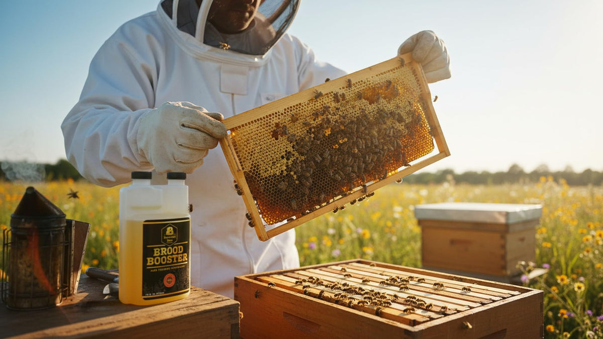 Bountiful Bees Brood Booster promotes healthy colony growth potential