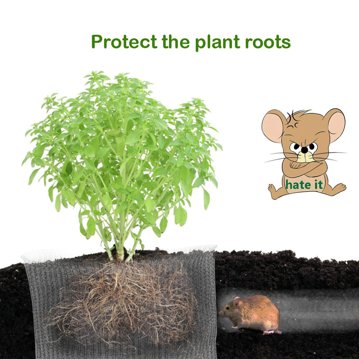 boUod basket being wrapped around a root ball during planting