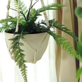Bouqlife boho indoor garden adds warmth and greenery.