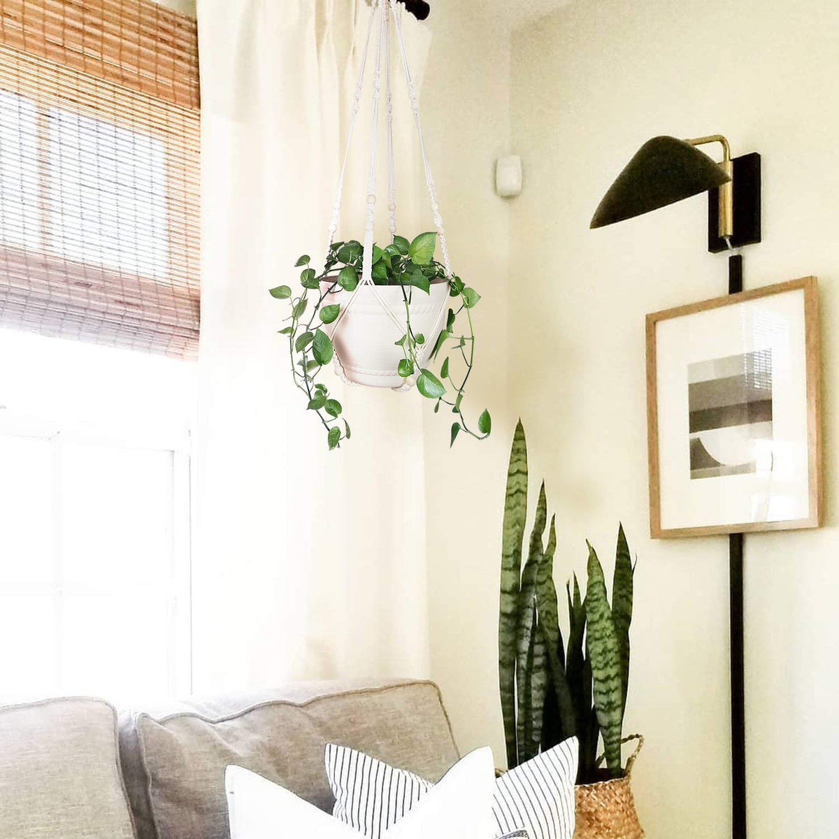 Bouqlife gift for plant lovers makes a thoughtful home decor choice.