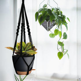 Bouqlife included hooks enable quick, secure mounting for versatile setups.