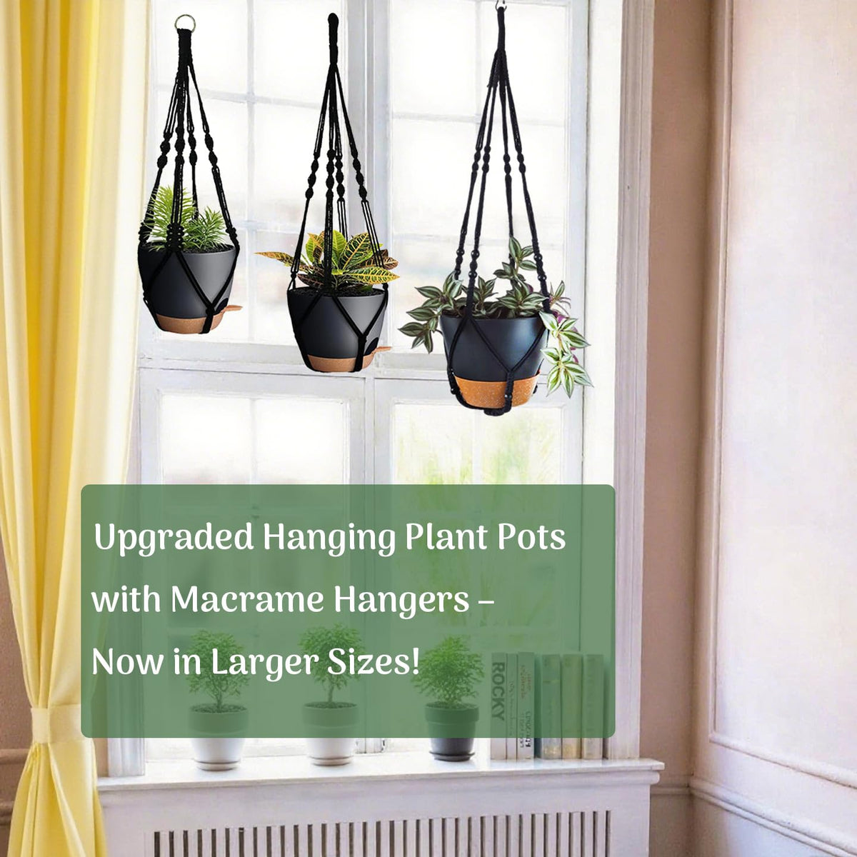 Bouqlife indoor-outdoor setup showcasing versatile decor and plant-friendly benefits