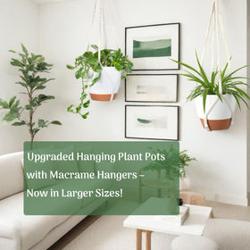 Bouqlife indoor vertical garden setup ready to elevate a room