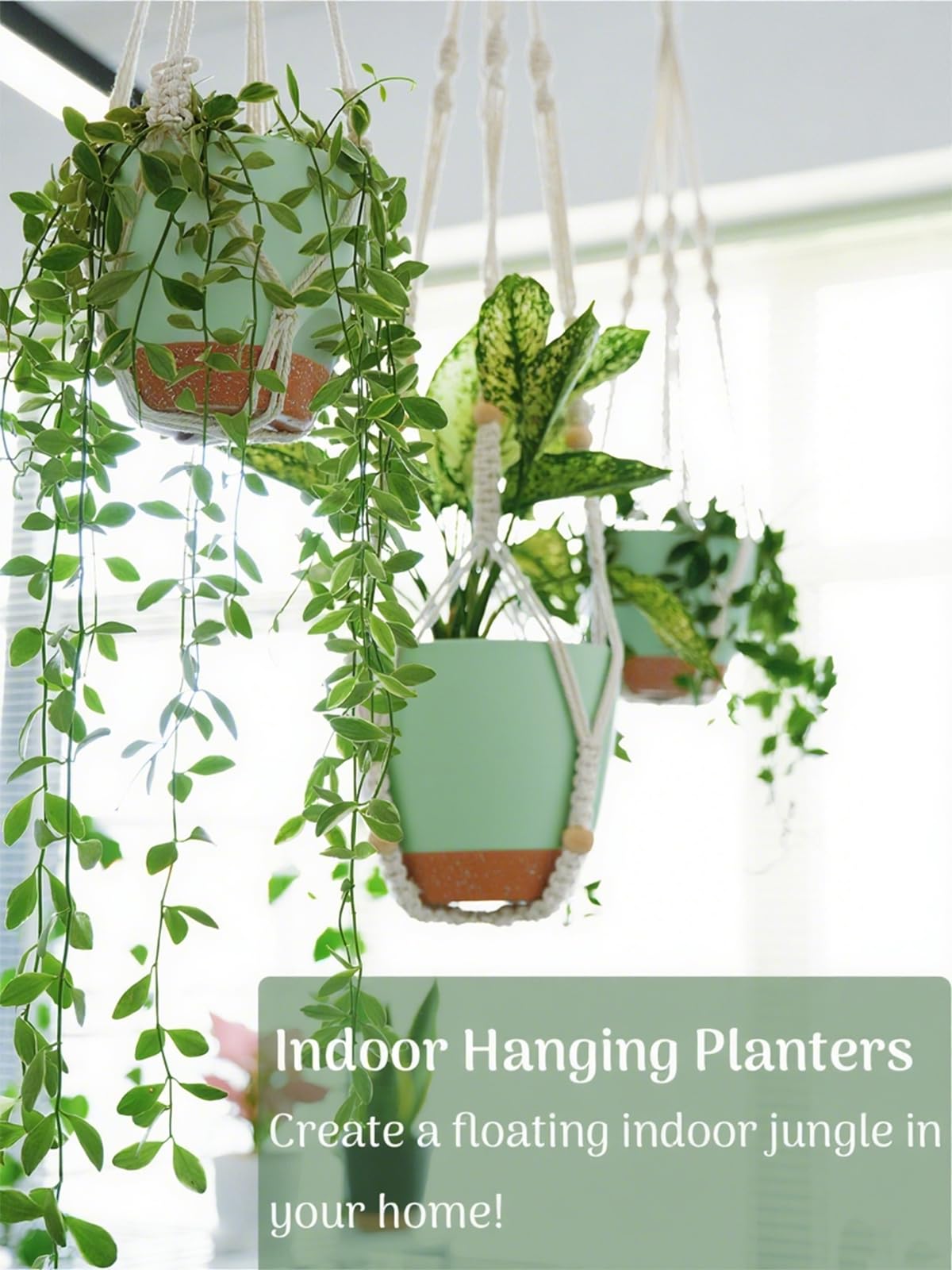 Bouqlife macrame 26-inch hanger adds boho charm while elevating houseplants