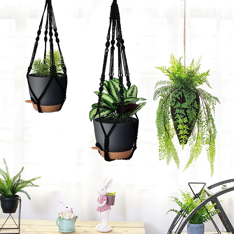 Bouqlife 5-5 inch pot completes the trio for small to mid-sized plants.