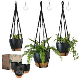Bouqlife self-watering 10-inch pot for thriving indoor plants and easy care