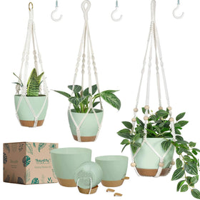 Bouqlife self-watering 34-inch planter display keeps greens thriving in living rooms