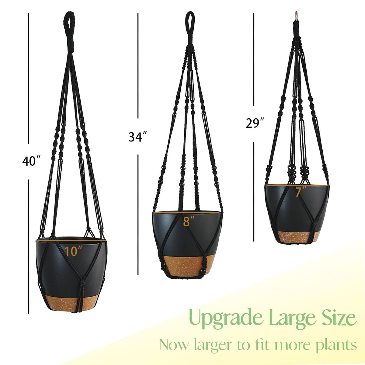 Bouqlife self-watering 8-inch pot supports healthy growth with convenient water reservoir