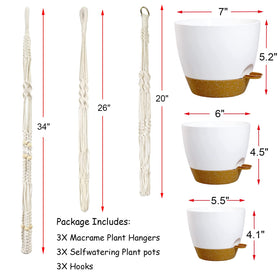 Bouqlife self-watering 6in pot ideal for small greens