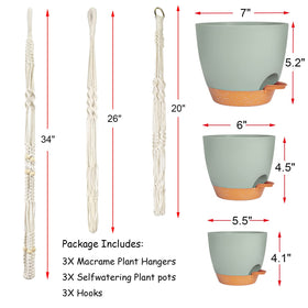 Bouqlife 7-inch self-watering pot keeps roots hydrated during travel
