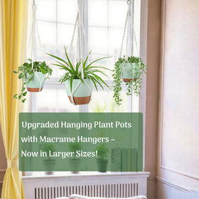 Bouqlife 8-inch self-watering pot keeps plants hydrated with minimal care.